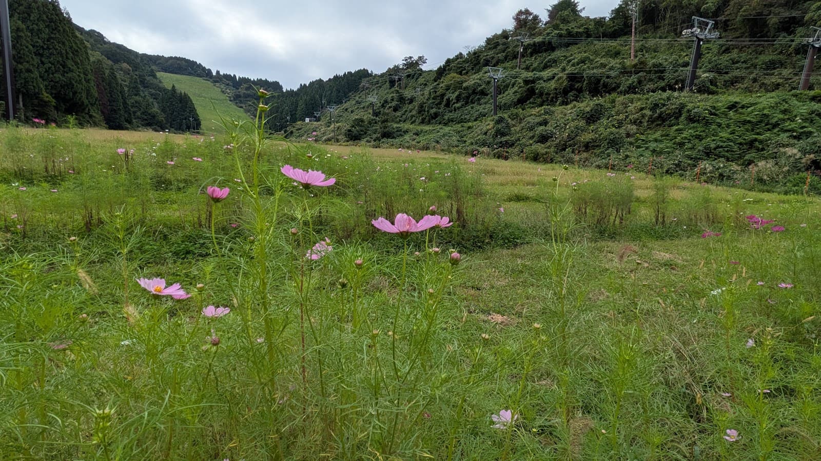 大倉岳高原スキー場