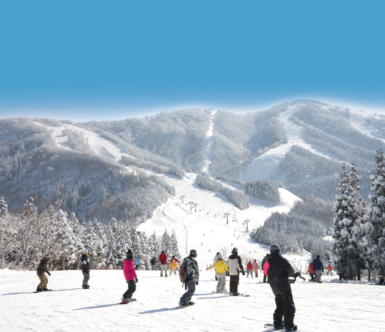 スキージャム勝山