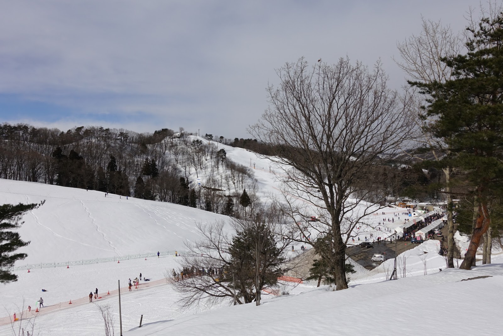 金谷山スキー場