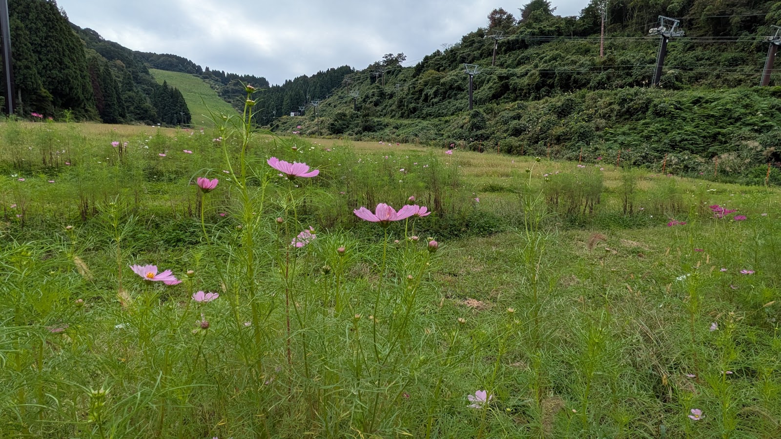 大倉岳高原スキー場
