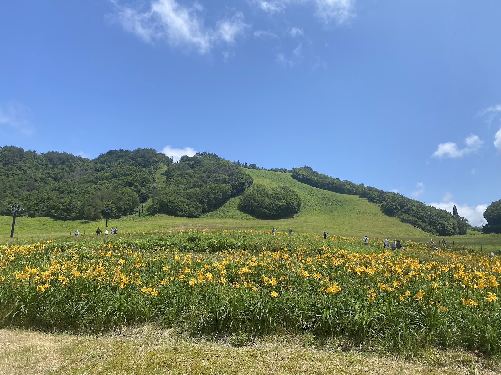 恩原高原スキー場