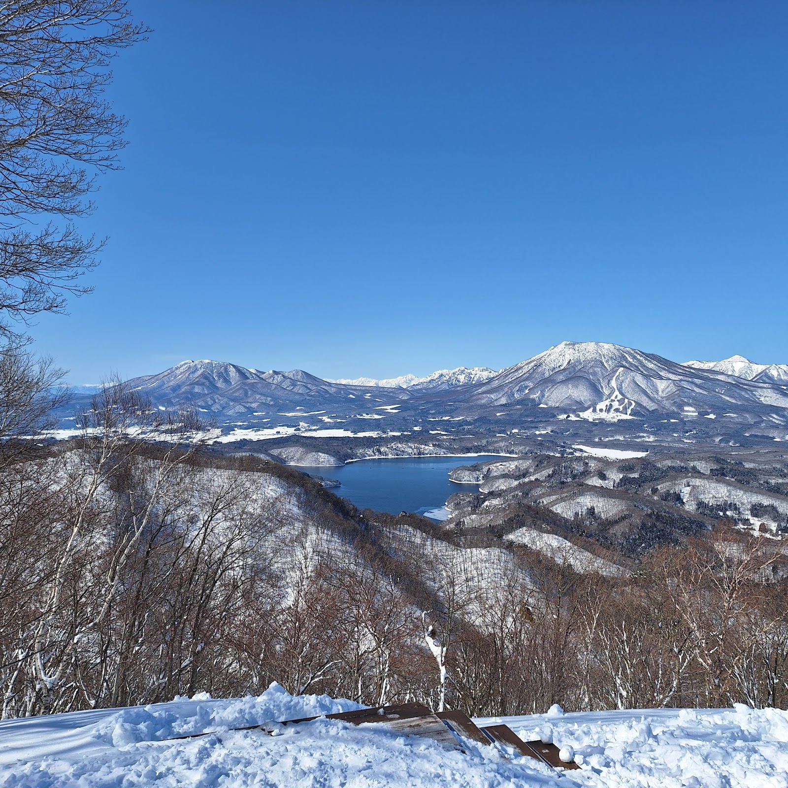 タングラムスキーサーカス
