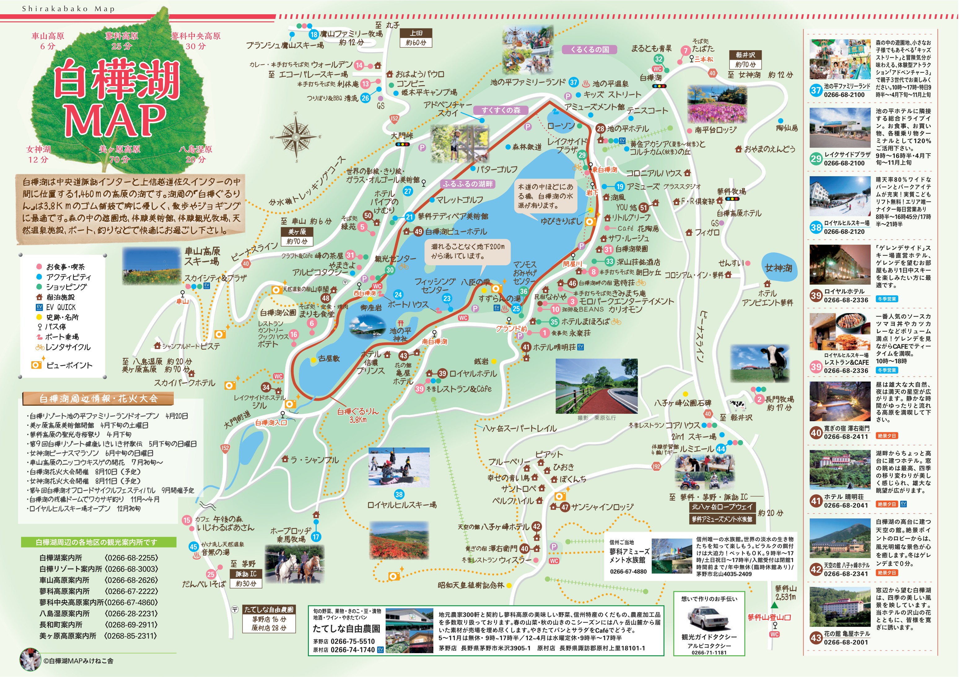 白樺湖ロイヤルヒル piste map