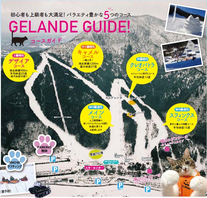 スノーリゾート猫山 piste map